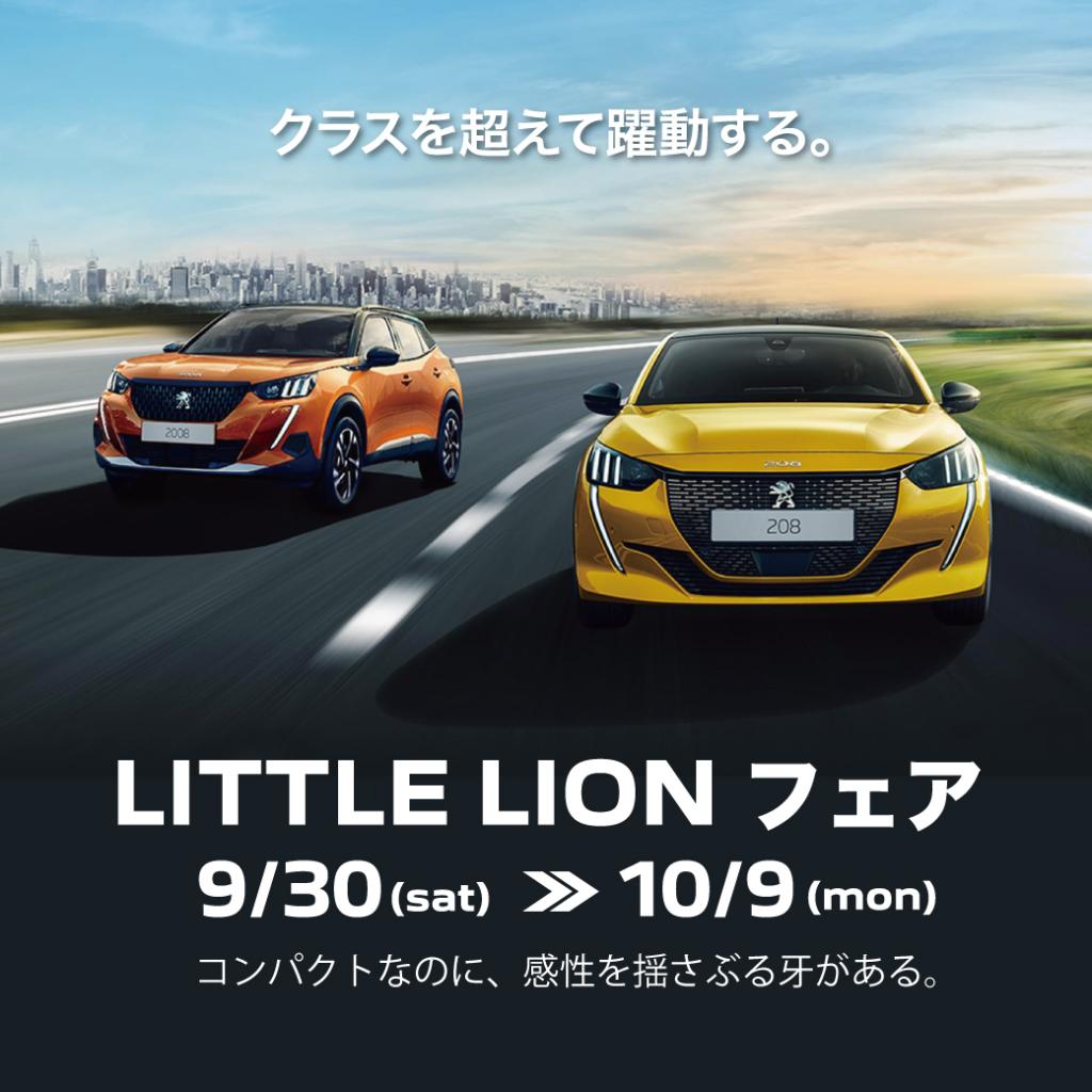  LITTLE LION フェアのお知らせ